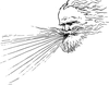 NSD_Logo_TM100